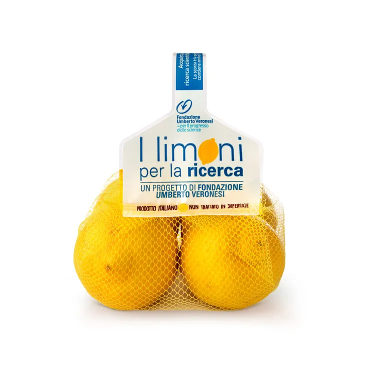 4. SormaBag_Limoni_estrusa.webp
