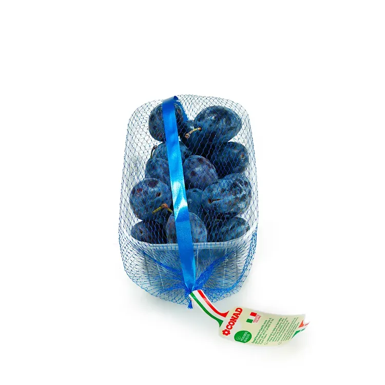 CESTINI RETINATO.webp