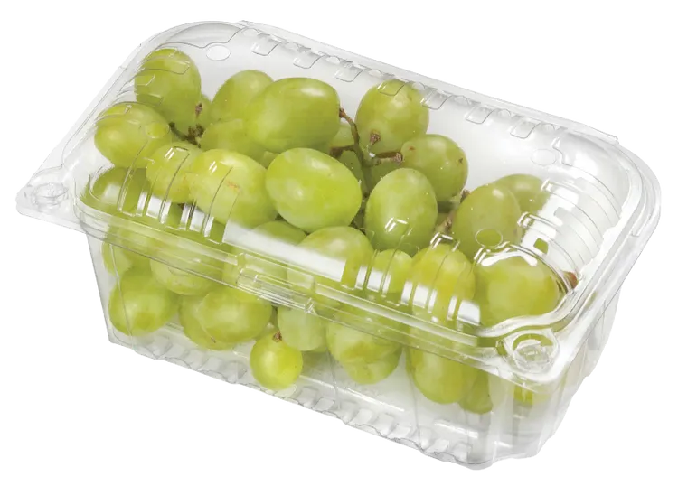 Clamshell uva.webp
