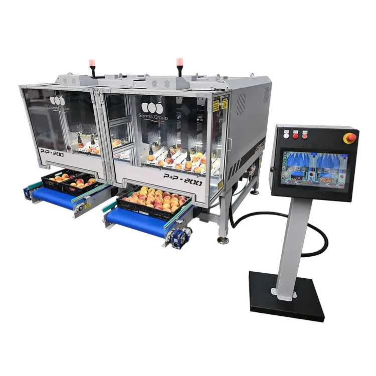 P&P-800 Doppio.webp