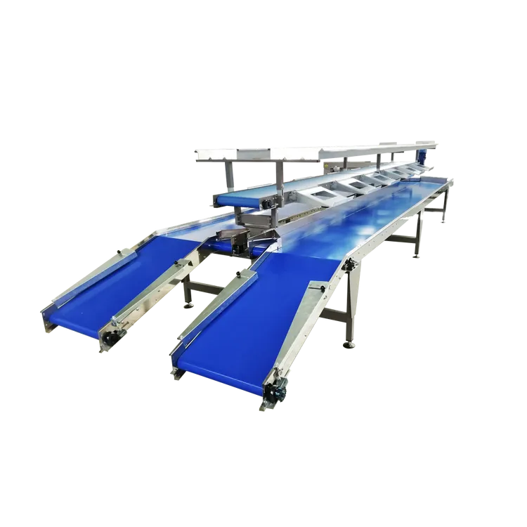RP-T457 - rapid pack.webp
