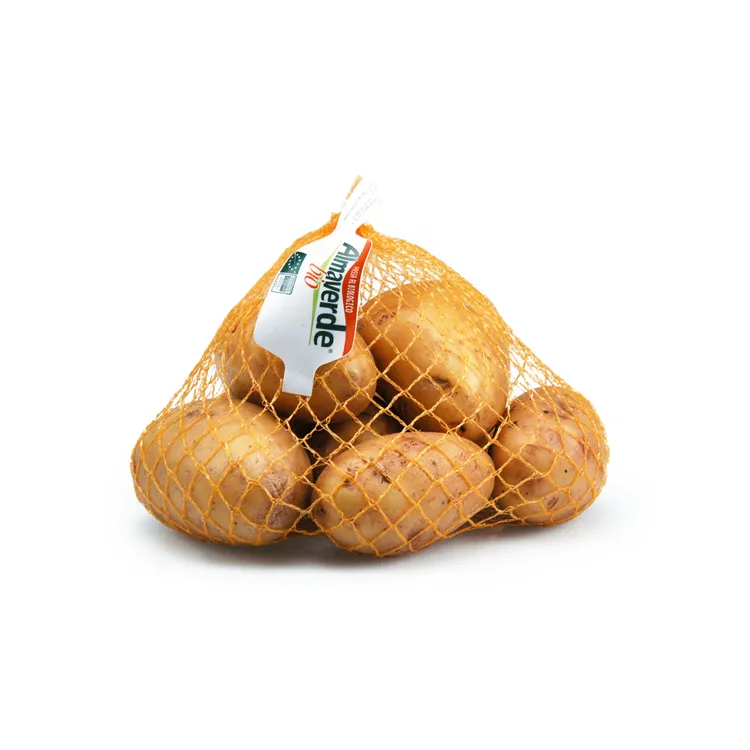 Retine.webp
