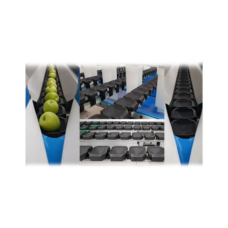 SORMATECH CASE (One Case & Two Case)_2_.webp