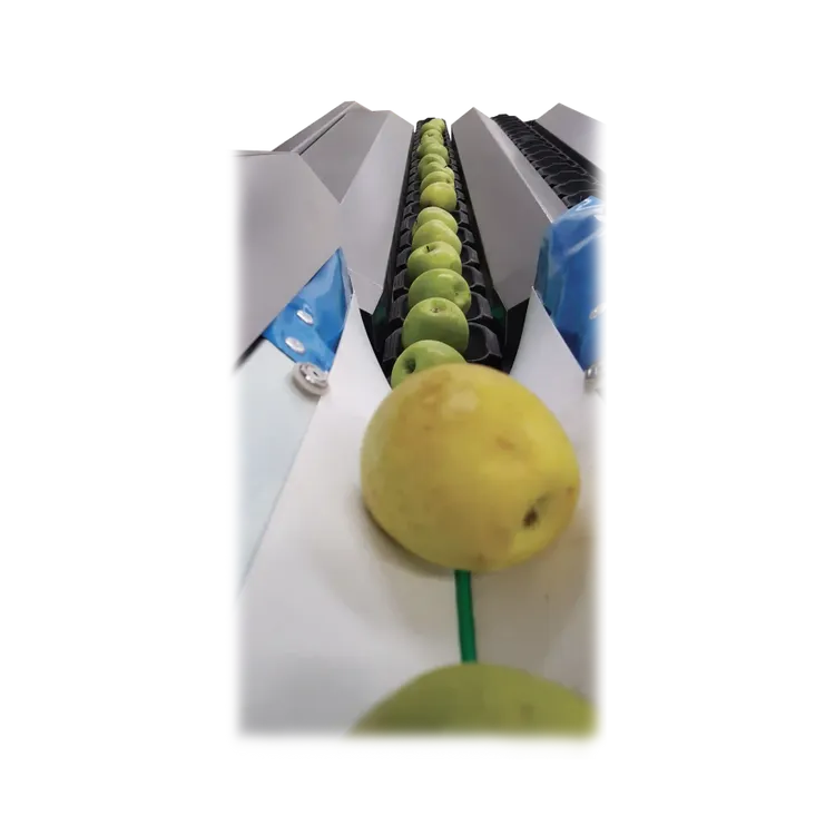 Senza titolo-1.webp
