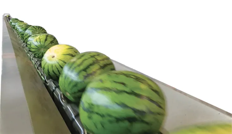 Senza titolo-1.webp