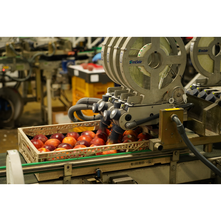 Sinclair automatic labelling 1.png