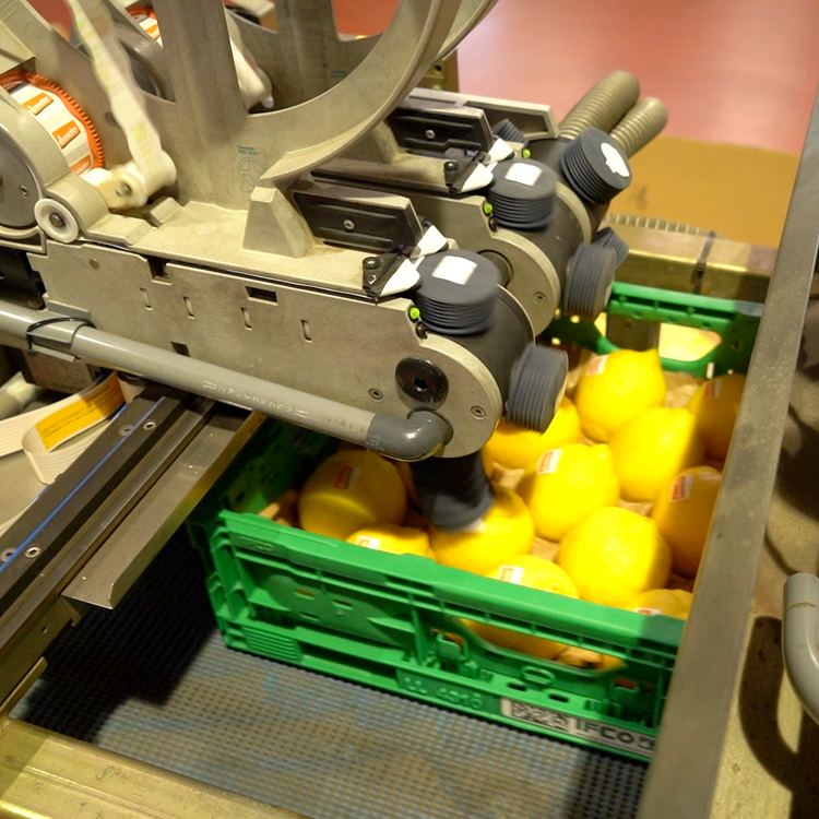 Sinclair automatic labelling 2.png