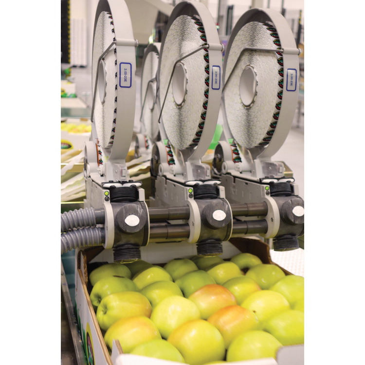 Sinclair automatic labelling.png