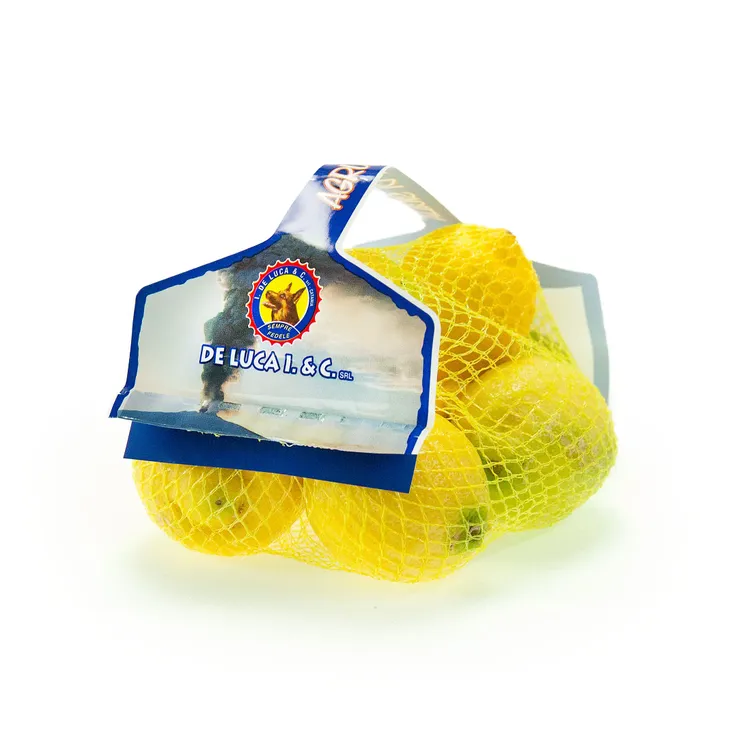 SormaBag Mandarini - Limoni Rete Tessuta.webp