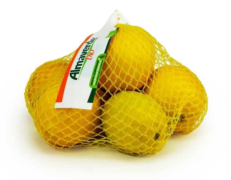 SormaClipless Limoni copia.webp