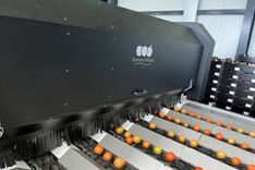 [es] La tecnologia di selezione avanzata corona la linea di produzione dei pomodori sfusi